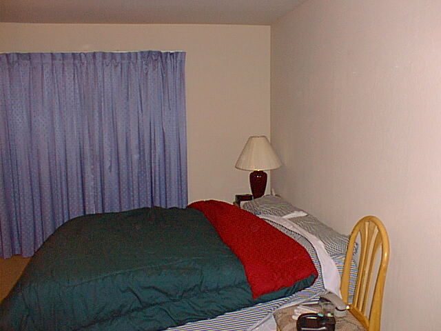 pic003.jpg